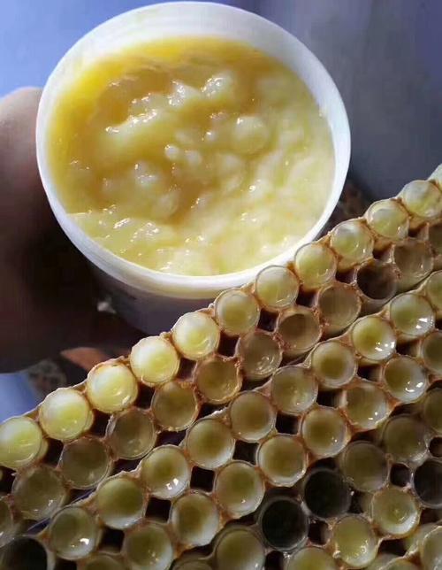 蜂王浆2020春浆500克蜂场直销100纯正天然佳慧蜂蜜伴坡峰养生